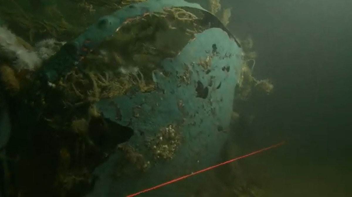 Northumberland olupina (5).jpg