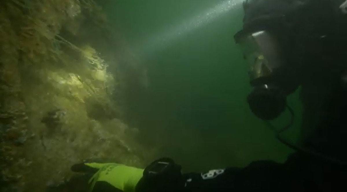 Northumberland olupina (6).jpg