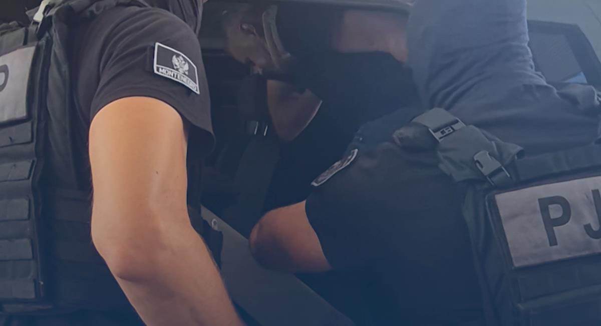 Ranko Radulović (3).jpg