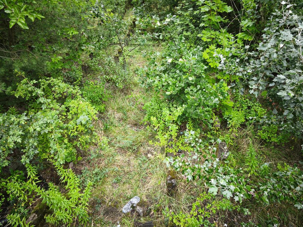 Stadion Edmund Šič u Poznanju 12.jpg