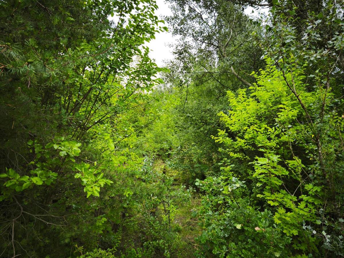 Stadion Edmund Šič u Poznanju 14.jpg