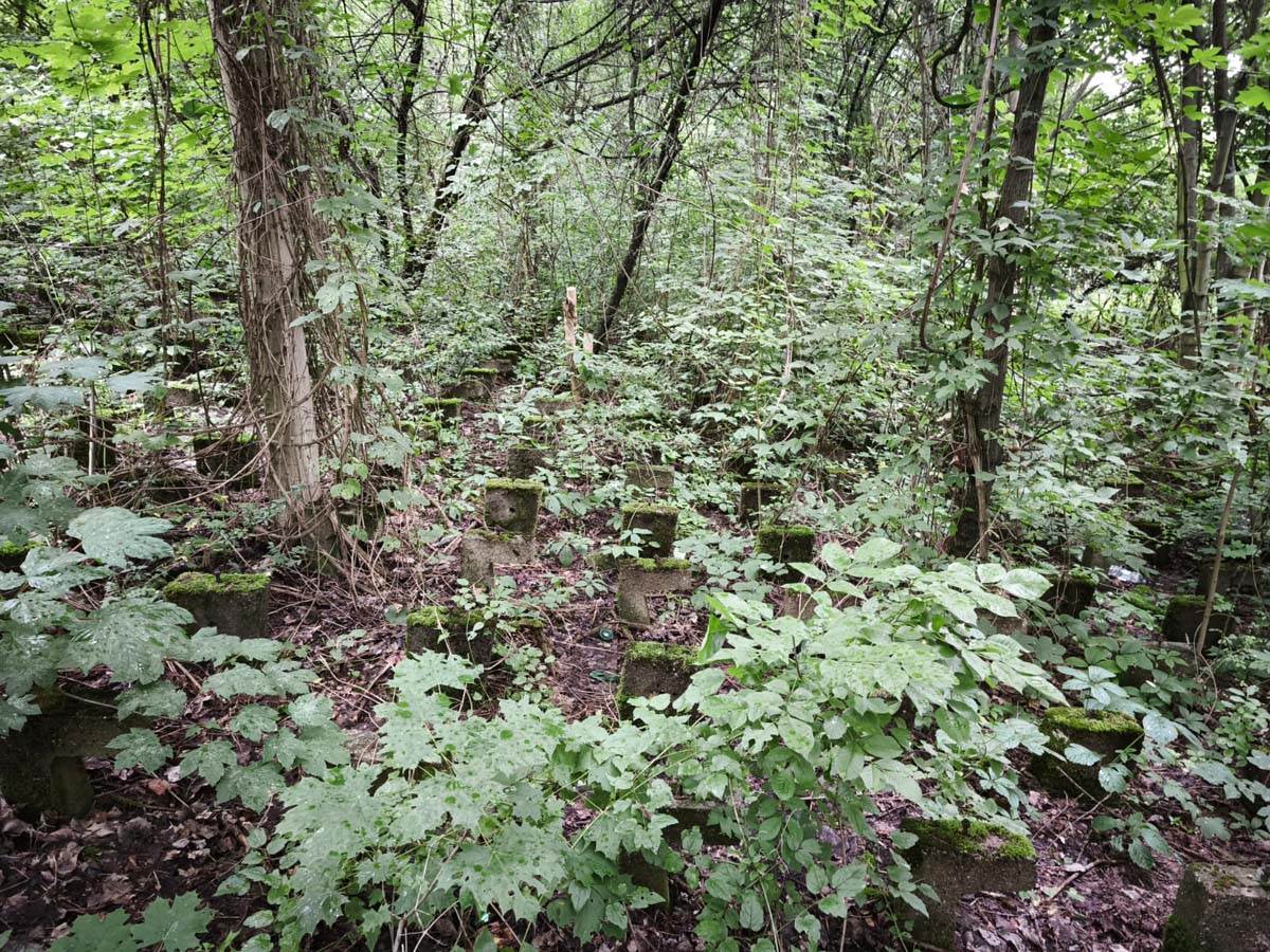 Stadion Edmund Šič u Poznanju 17.jpg