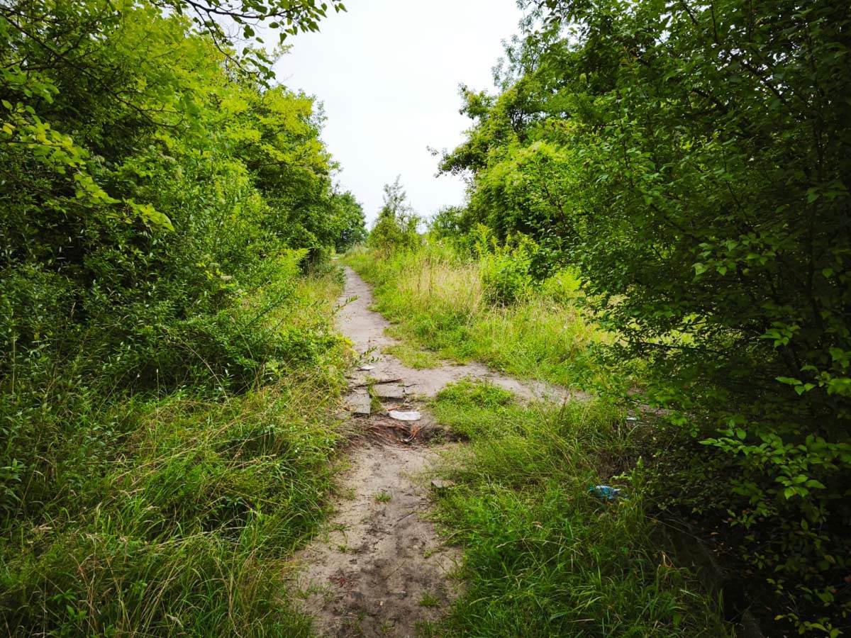 Stadion Edmund Šič u Poznanju 23.jpg