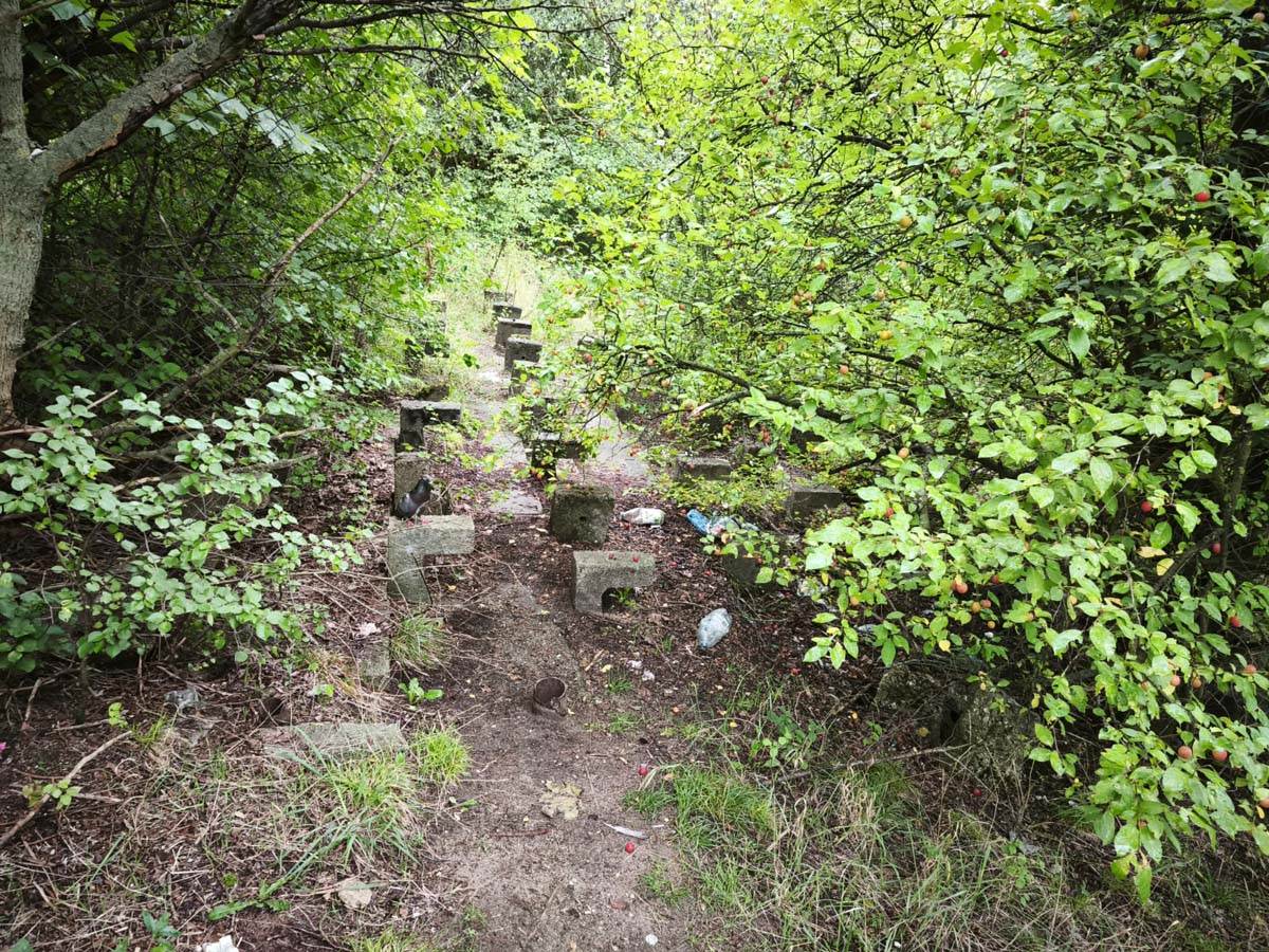 Stadion Edmund Šič u Poznanju 5.jpg