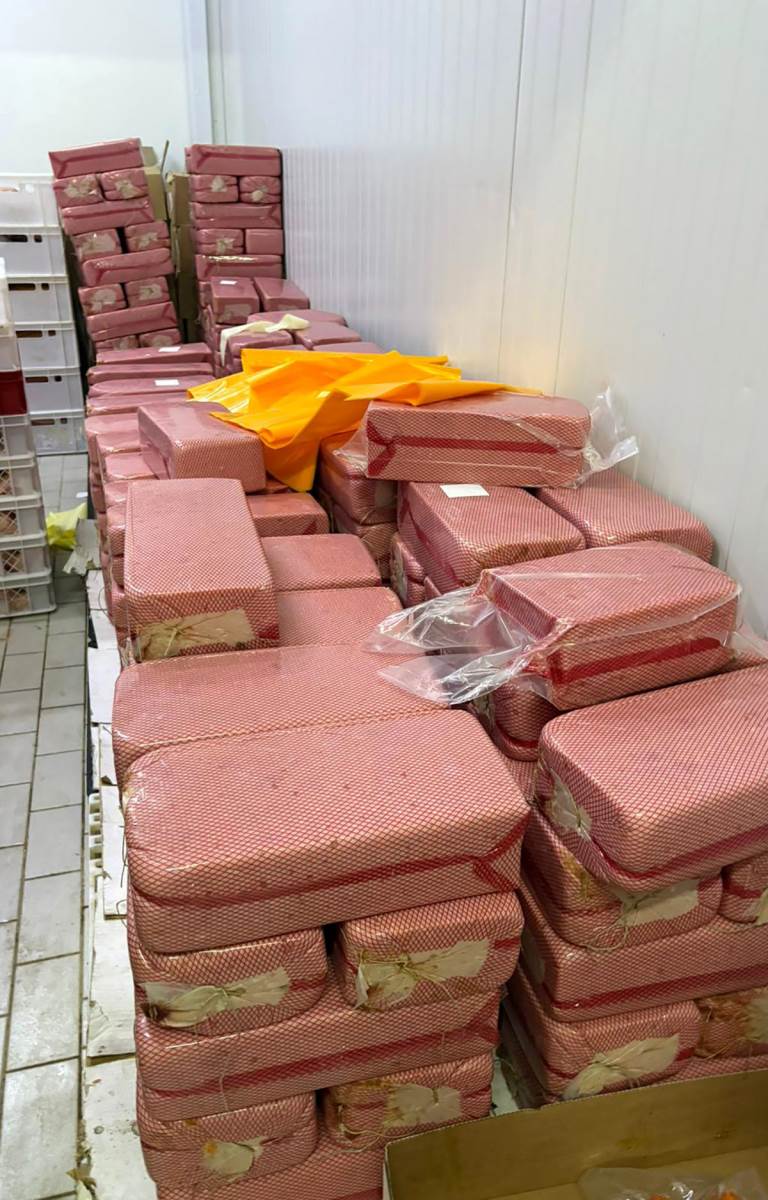 zaplena mesa zaraženog bakterijom (1).jpg