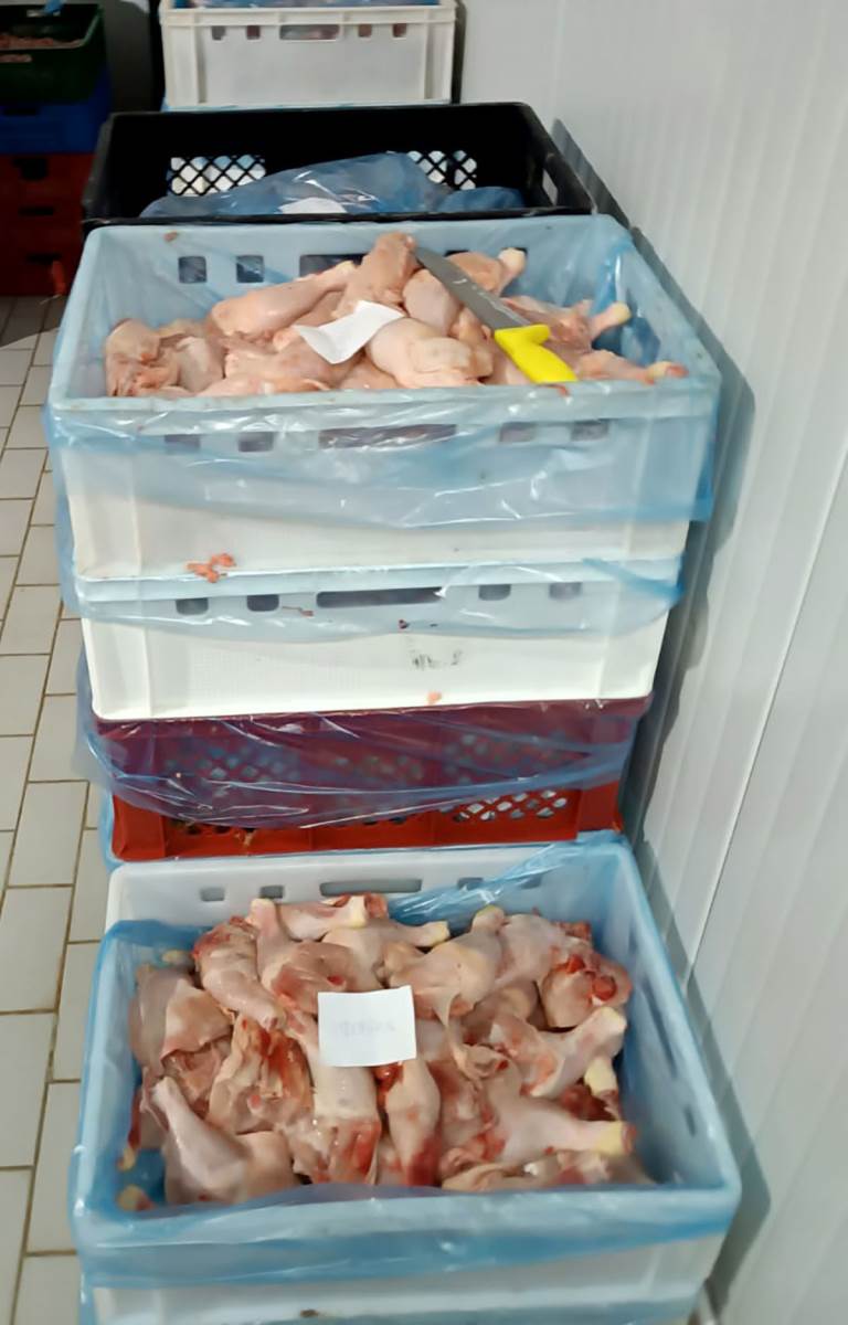 zaplena mesa zaraženog bakterijom (4).jpg