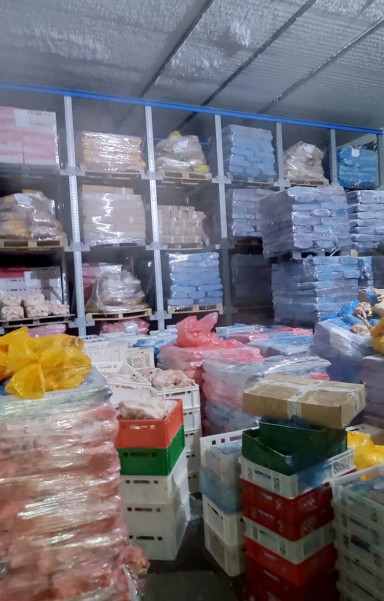 zaplena mesa zaraženog bakterijom (6).jpg