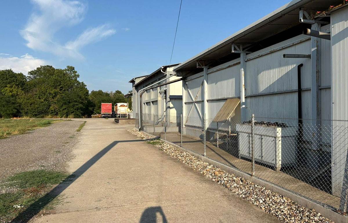 zaplena mesa zaraženog bakterijom (7).jpg