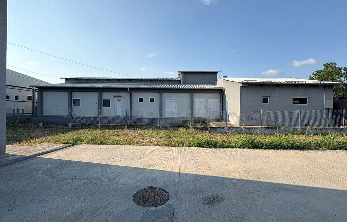 zaplena mesa zaraženog bakterijom (9).jpg