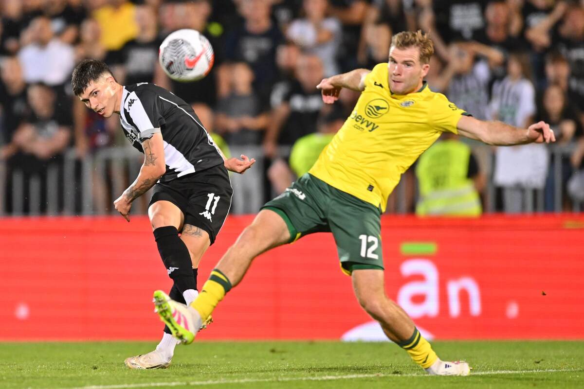 Partizan - Hibernijan  (28).JPG