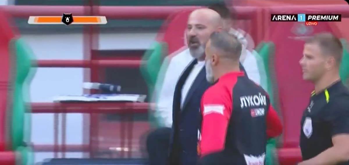 Deki Stanković 1.jpg