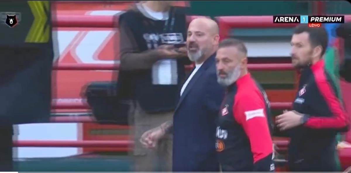 Deki Stanković 2.jpg