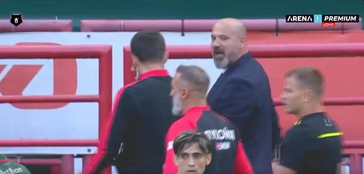 Deki Stanković 3.jpg