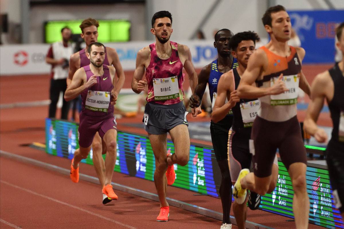 Elzan Bibić (8).jpg