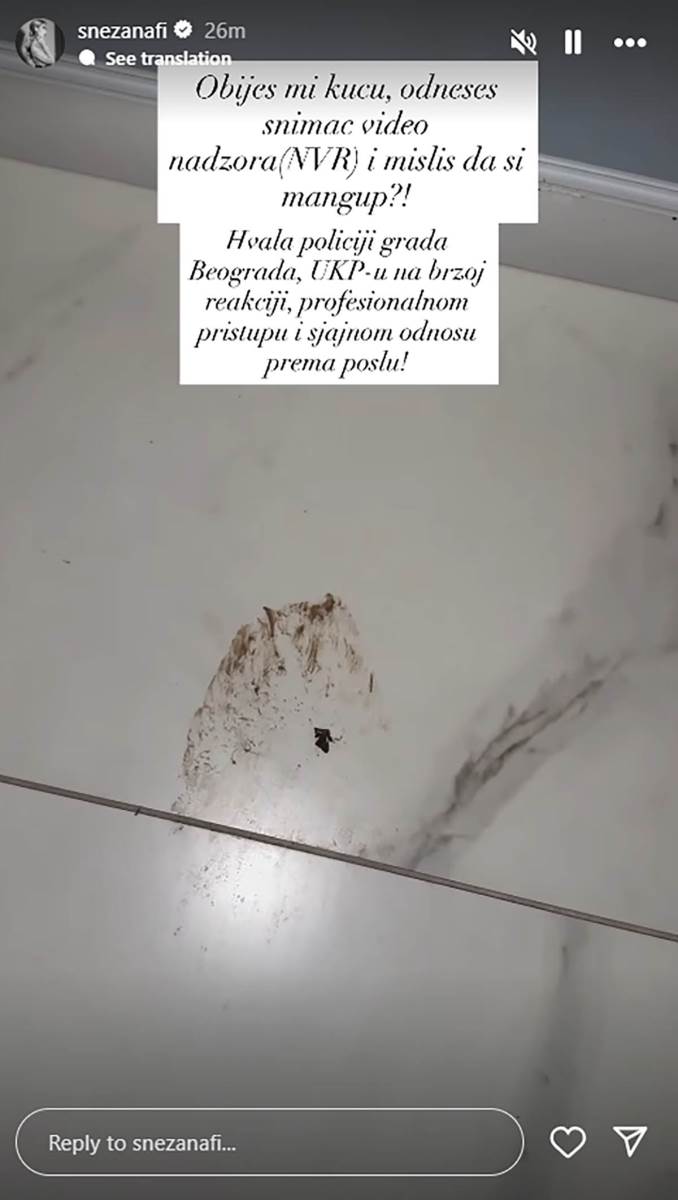 Snežana Borjan (1).jpg