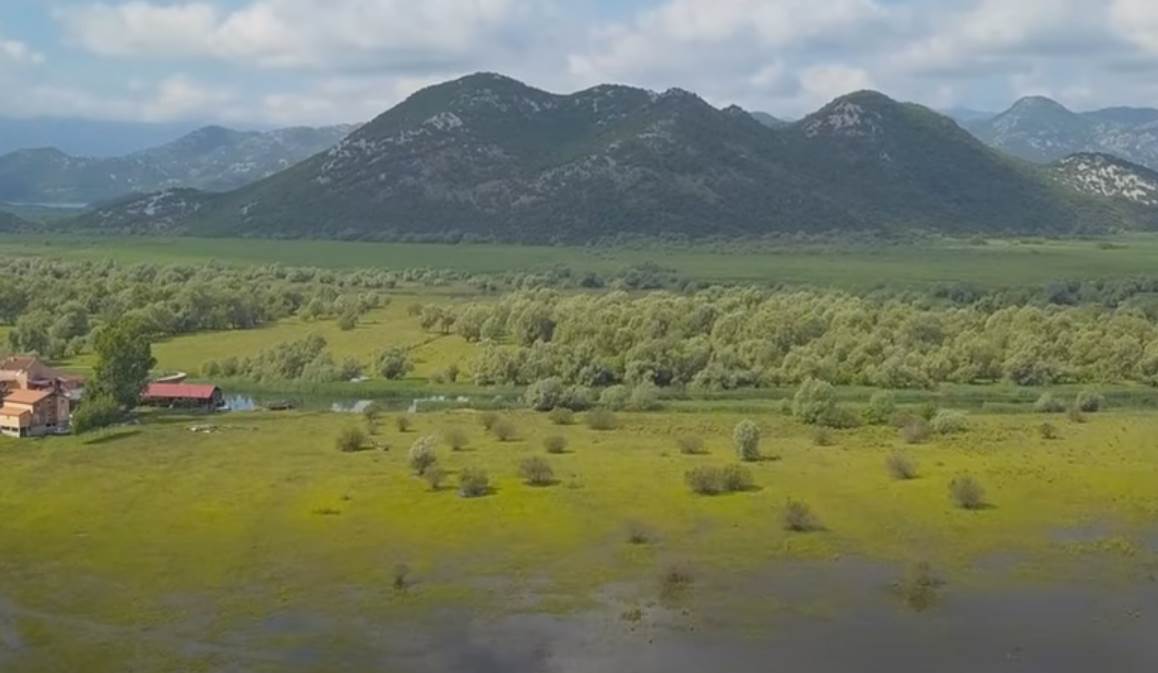 Screenshot 2025-08-11 150051.png