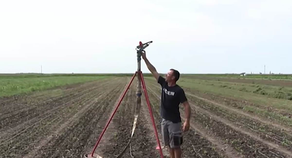 Olas Andraš (4).jpg