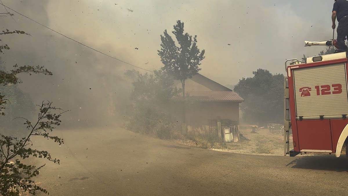 Požari u Crnoj Gori (4).jpg