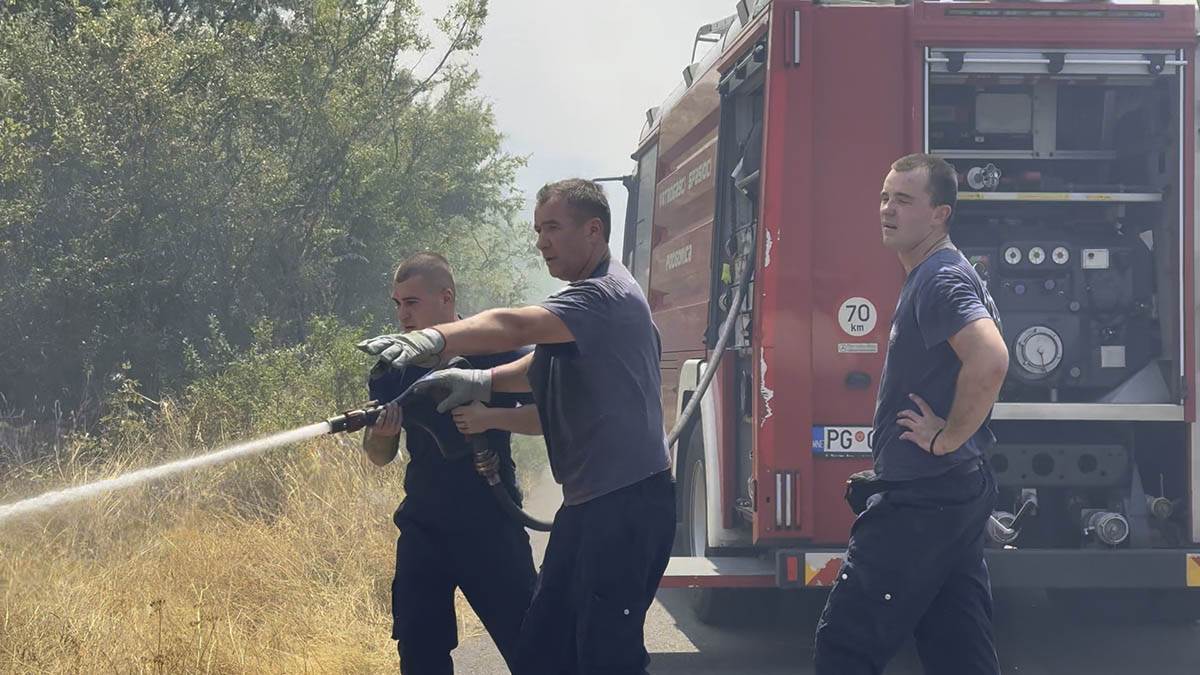 Požari u Crnoj Gori (8).jpg