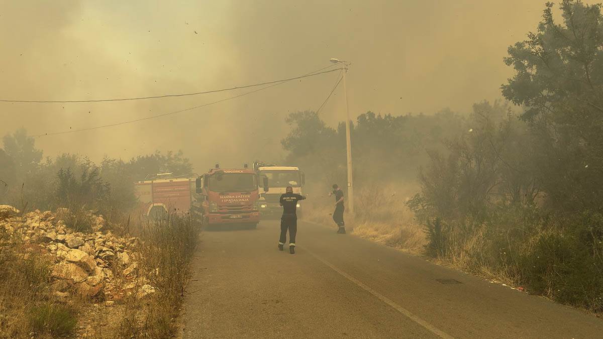 Požari u Crnoj Gori (10).jpg