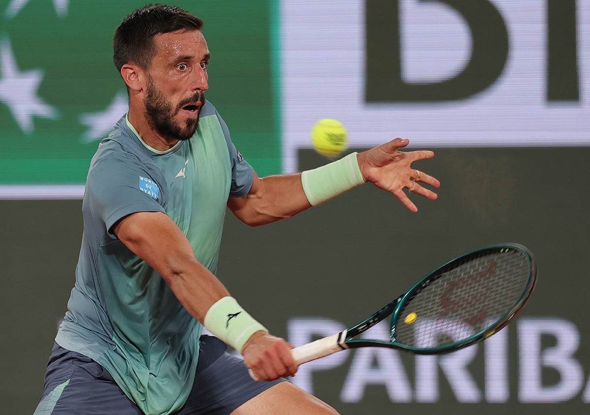 Damir Džumhur (5).jpg