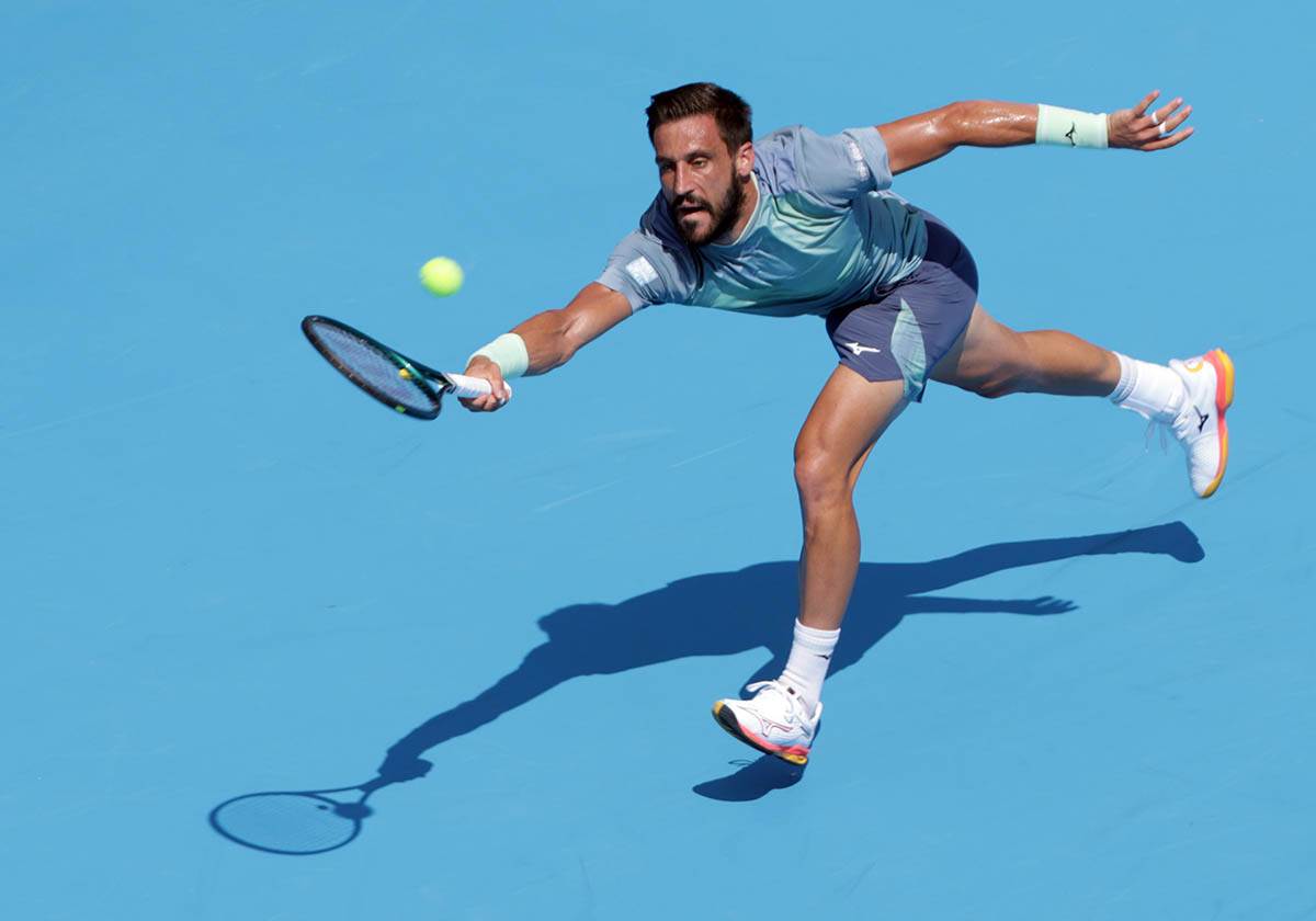 Damir Džumhur (6).jpg