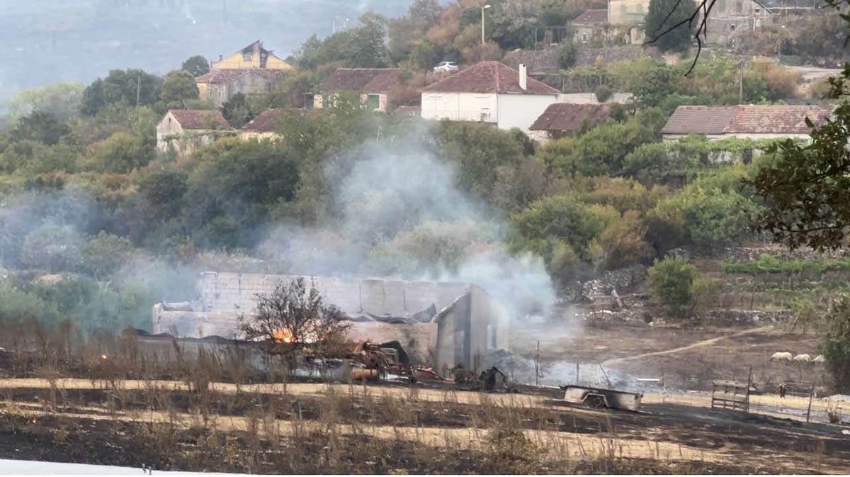 požari u Crnoj Gori (3).jpg