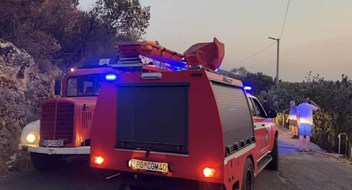 požari u Crnoj Gori (4).jpg