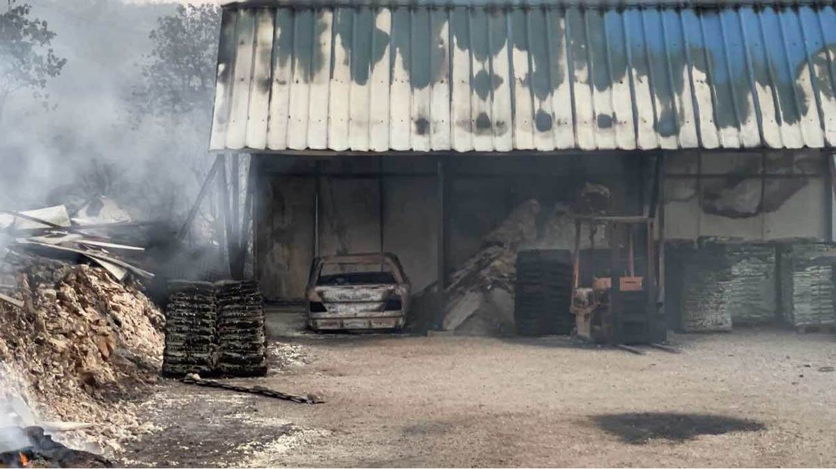 požari u Crnoj Gori (9).jpg