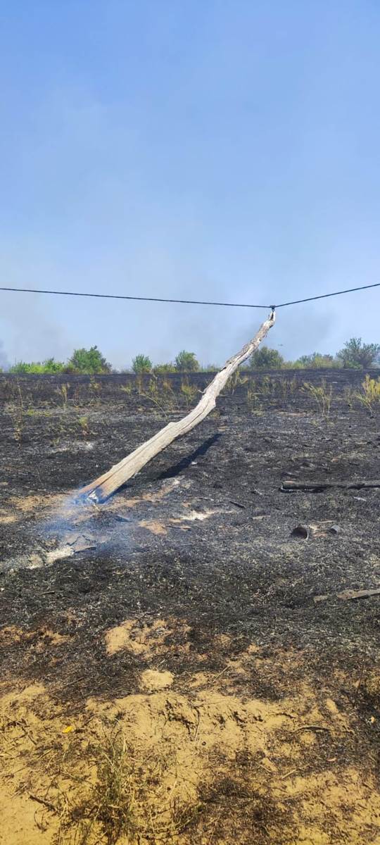 Vanredna situacija u Kladovu (4).jpg