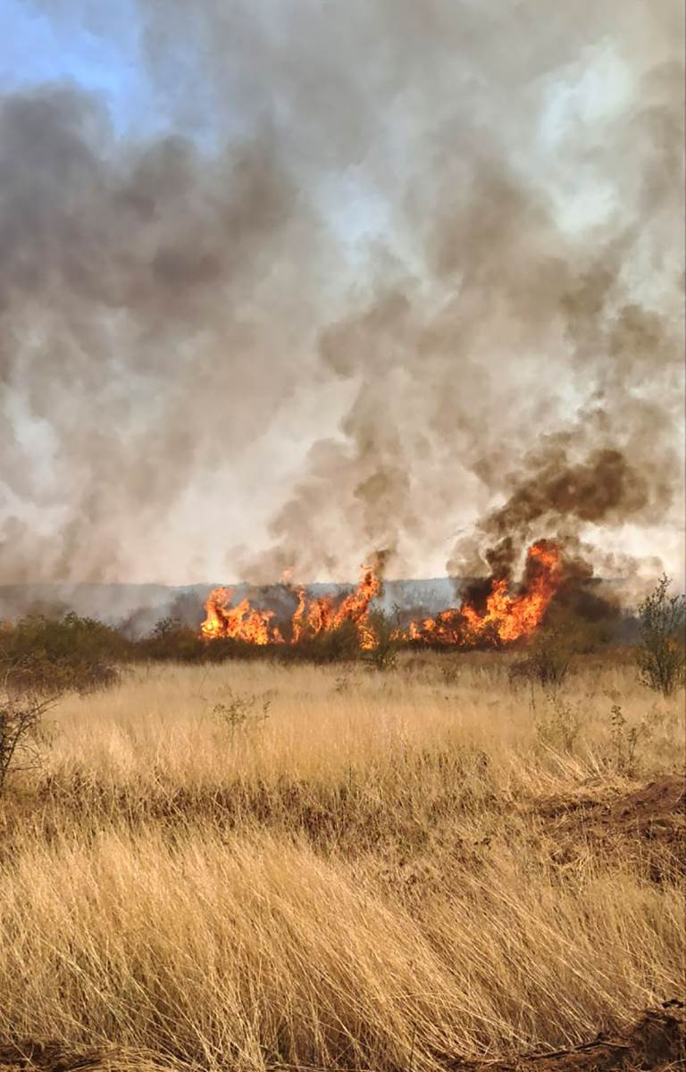 Požari u Kladovu (5).jpg