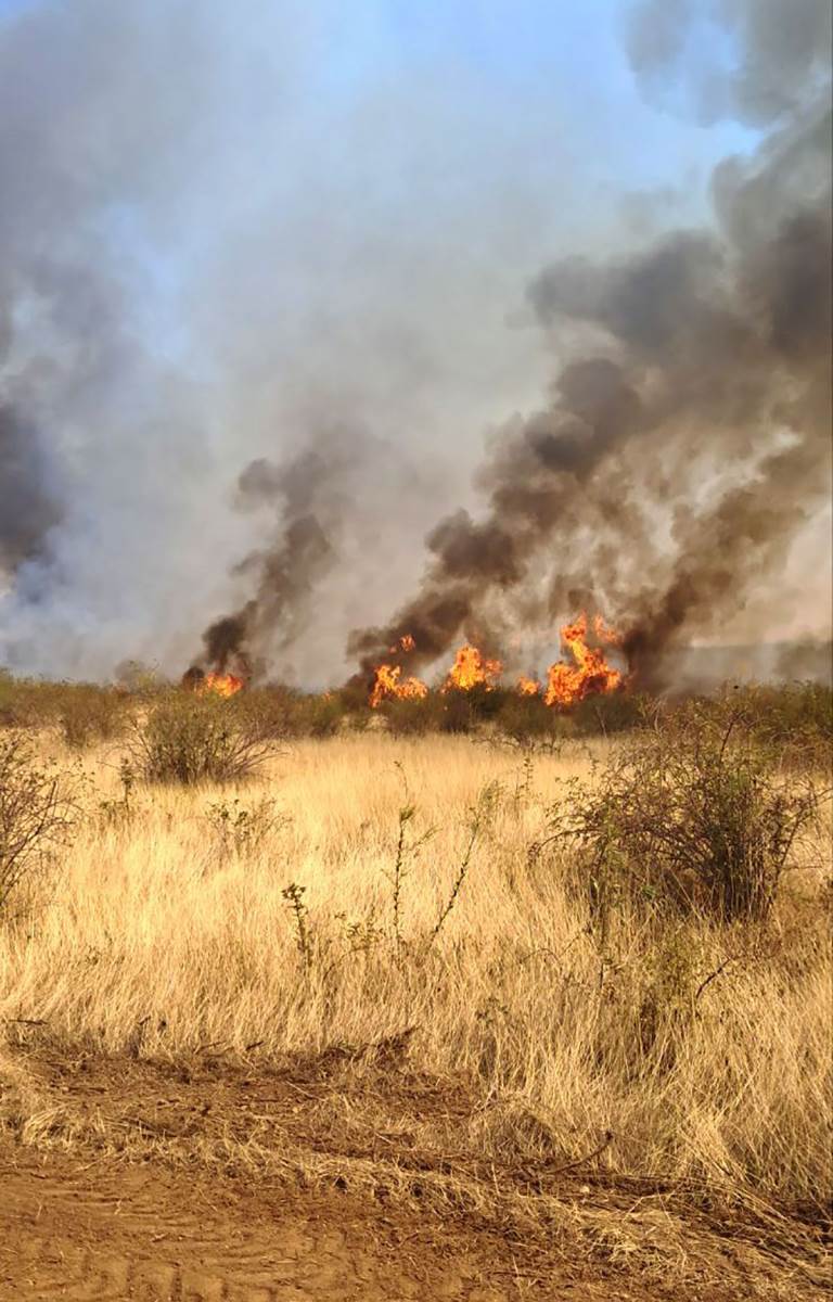 Požari u Kladovu (6).jpg