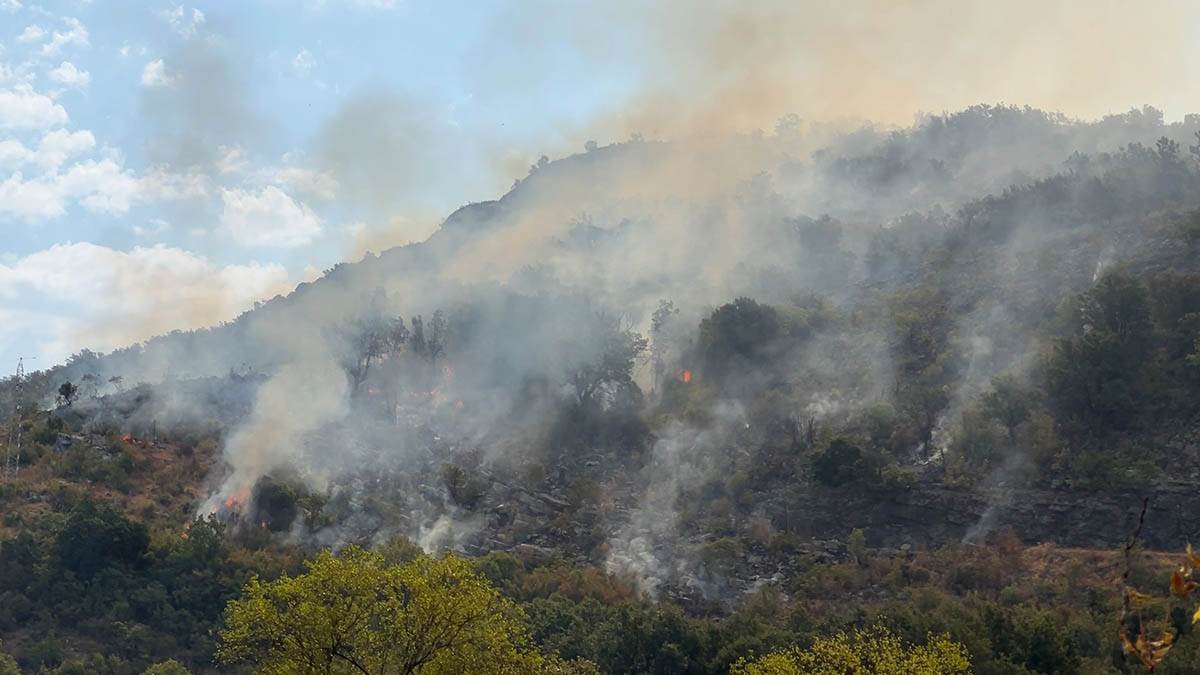 požari u Crnoj Gori (5).jpg