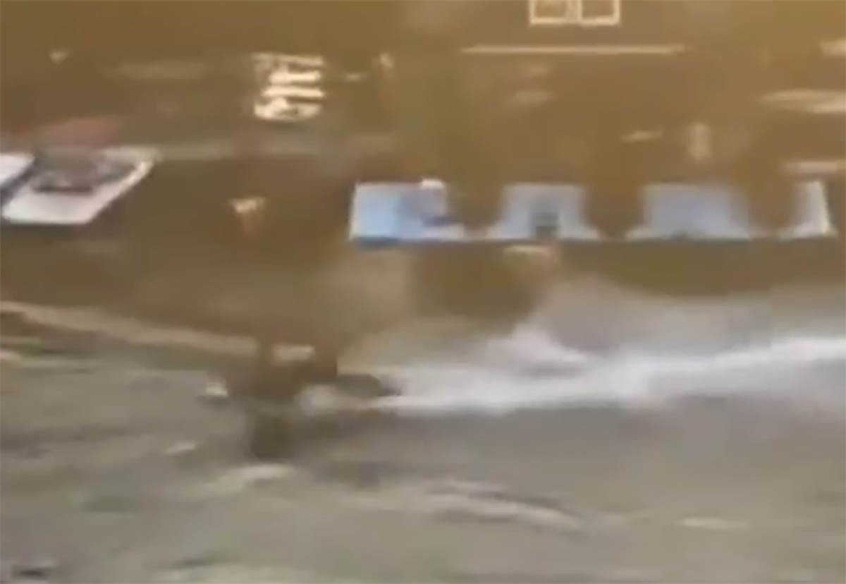 Vozač skutera iz Pančeva (6).jpg