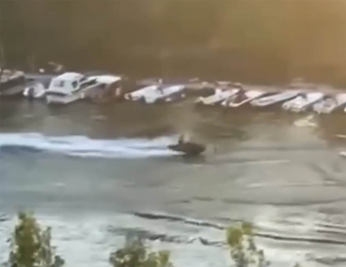 Vozač skutera iz Pančeva (7).jpg