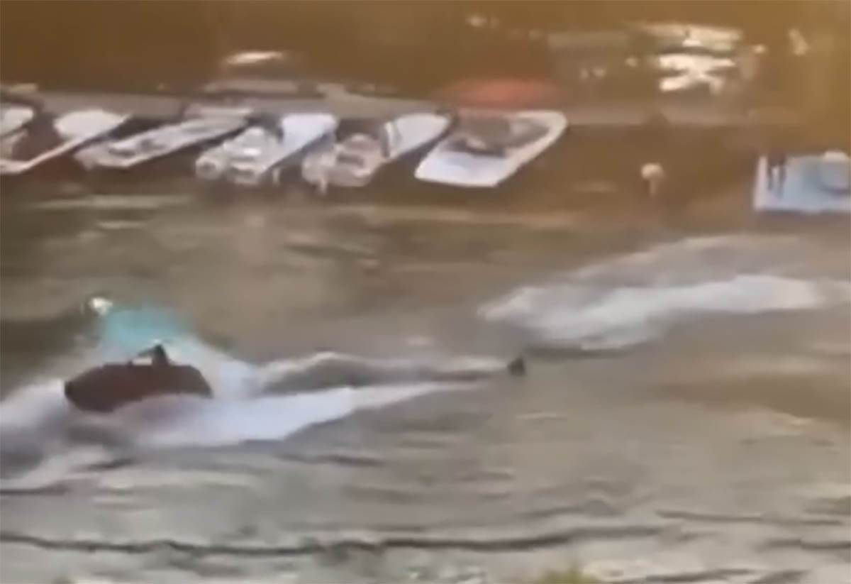 Vozač skutera iz Pančeva (1).jpg