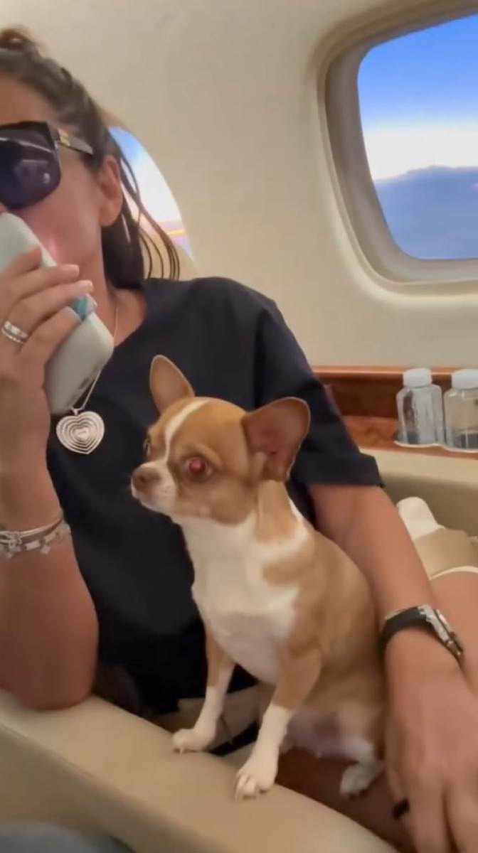 Zeljko Mitrović sa porodicom u novom avionu (4).jpg