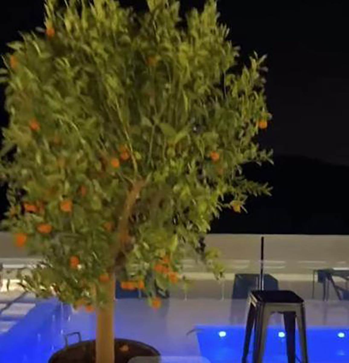 Mile Kitić se uselio u vilu na Avali (6).jpg