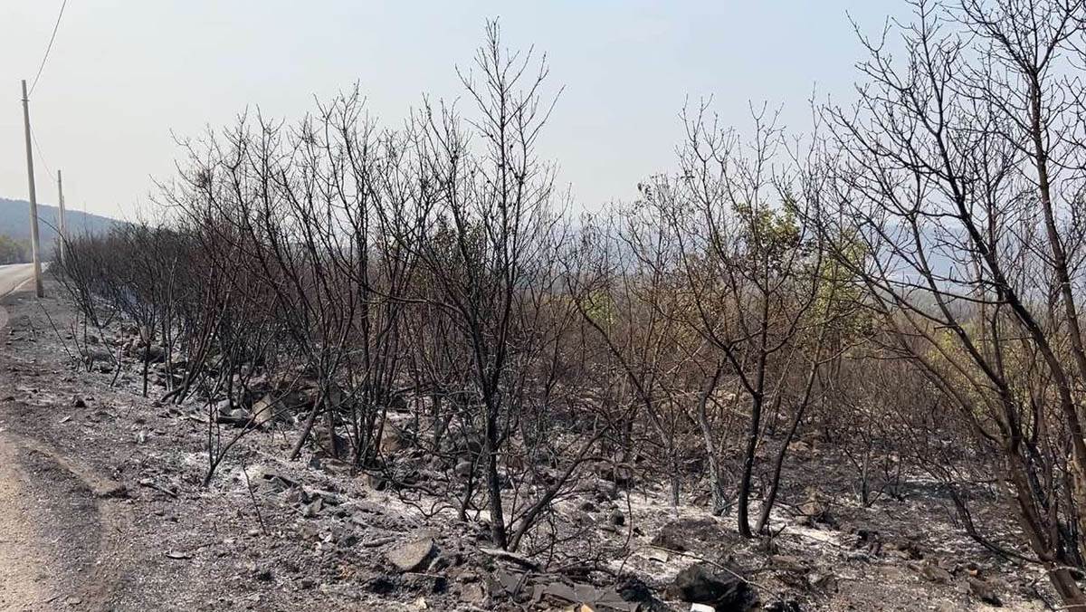 požari kod Podgorice (3).jpg