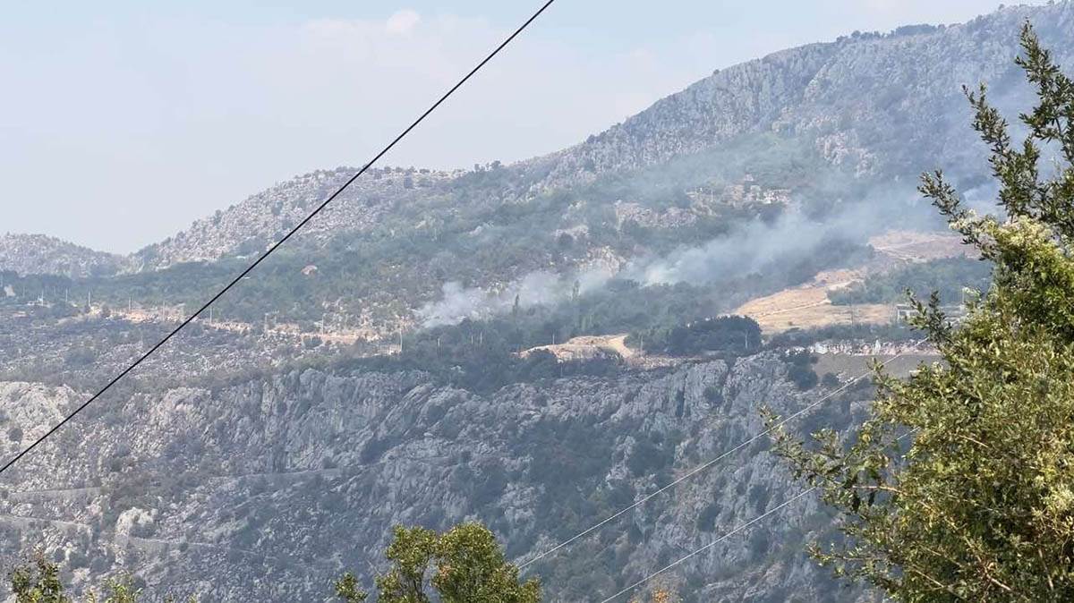 požari kod Podgorice (4).jpg