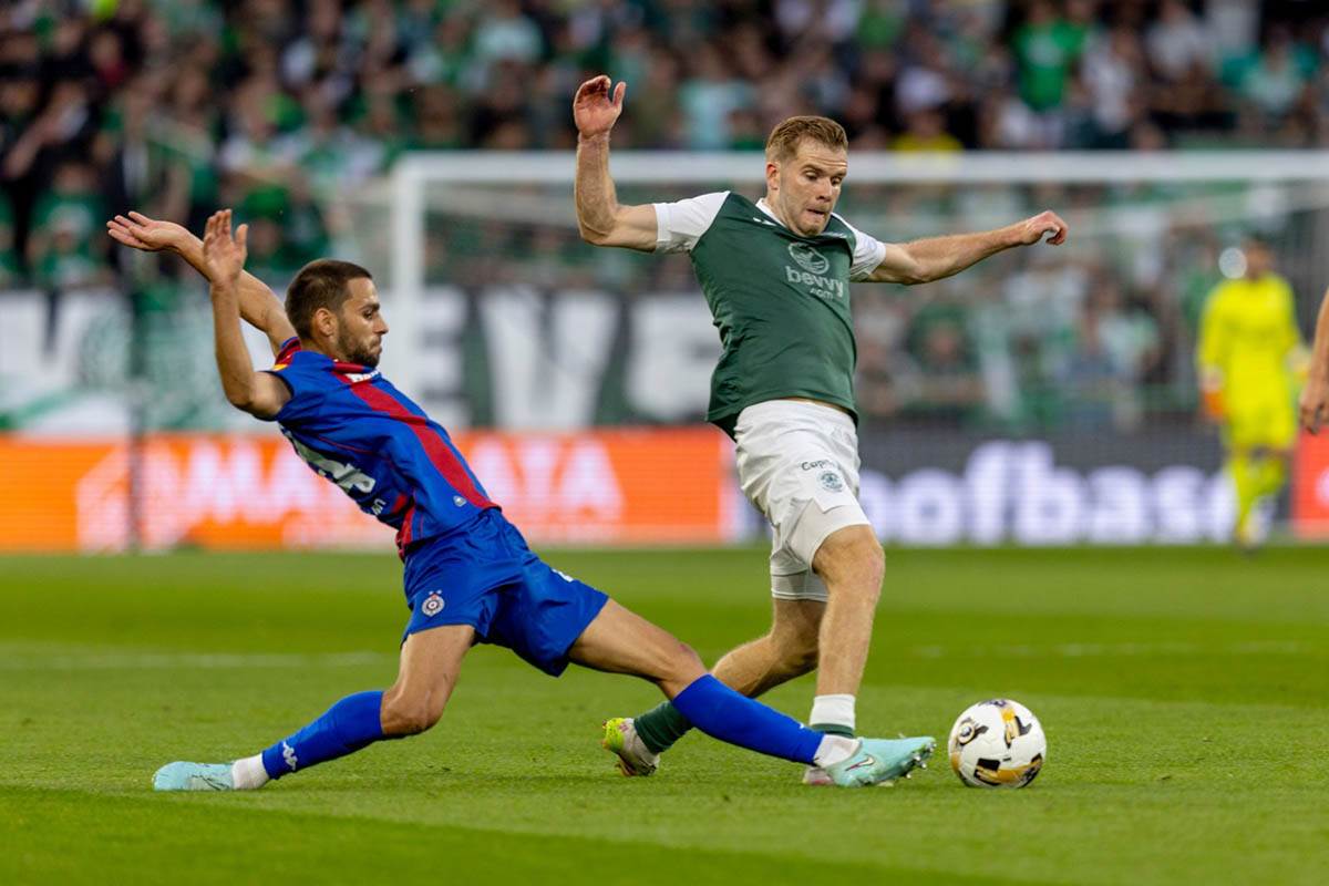 Hibernijan - Partizan (2).jpg