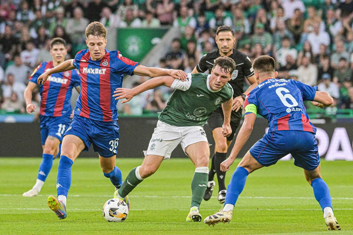 Hibernijan - Partizan (3).jpg