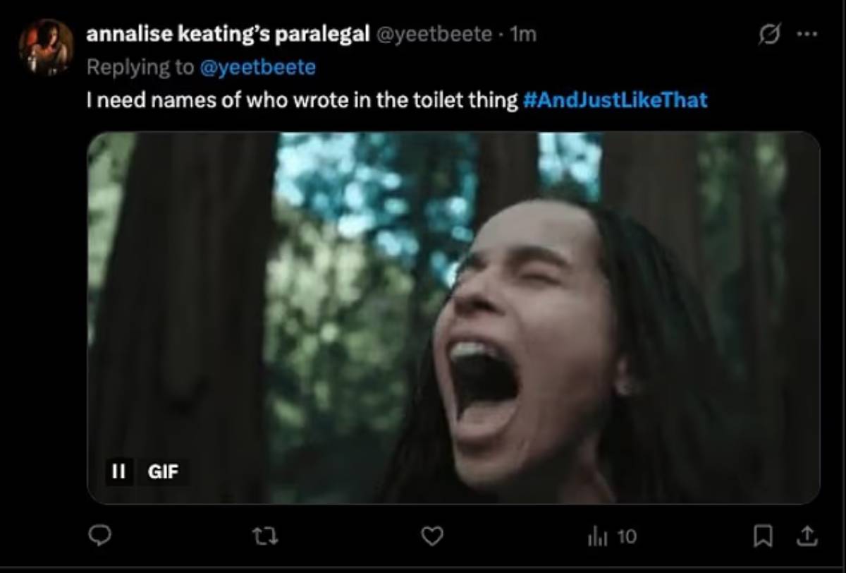 And Just Like That komentari