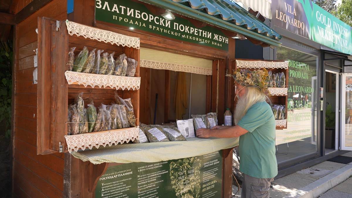 Borivoje je Pokretni žbun i čevi travar sa Zlatibora 3.jpg