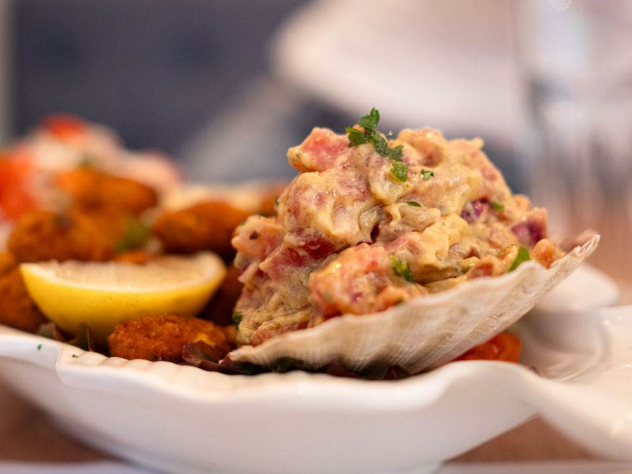 Vese Barišić (10).jpg