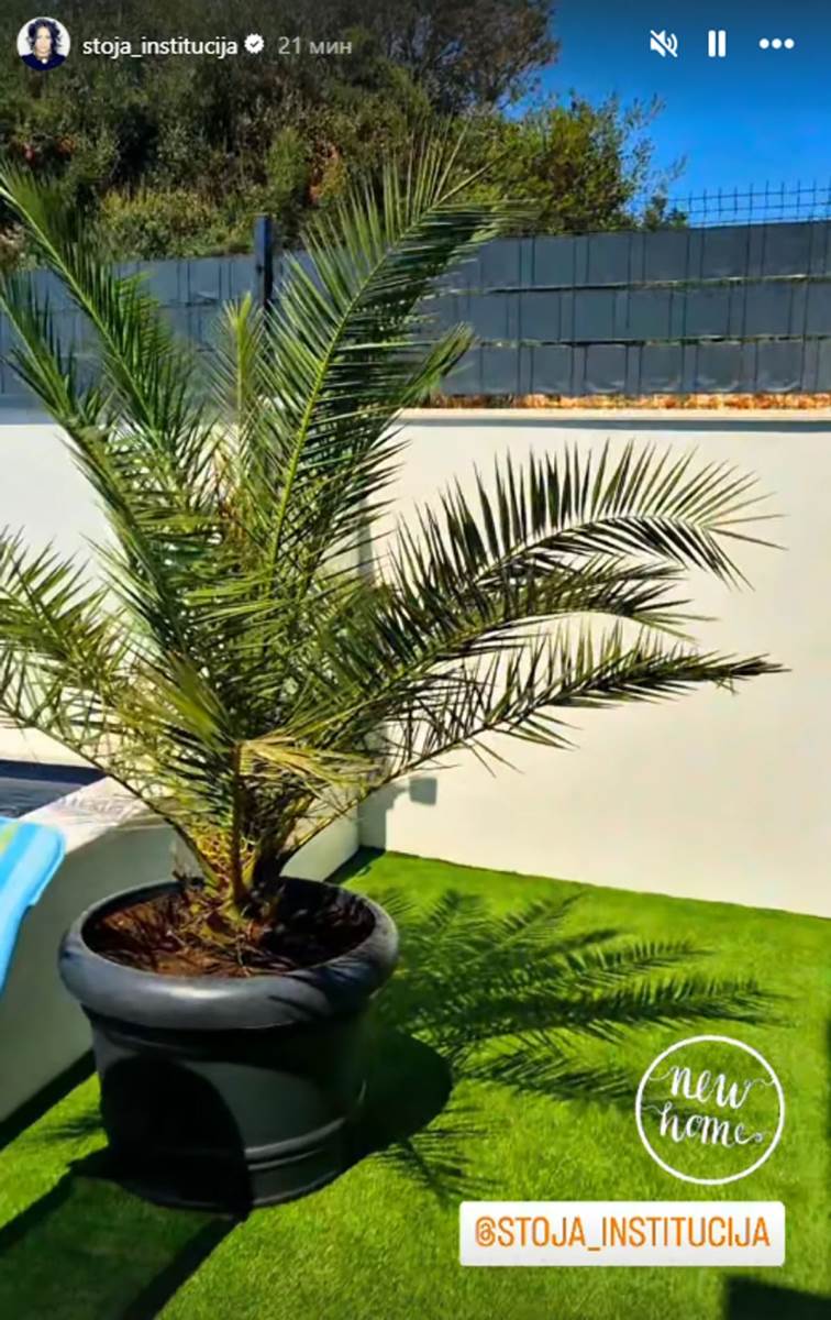 Stoja dvorište (5).jpg