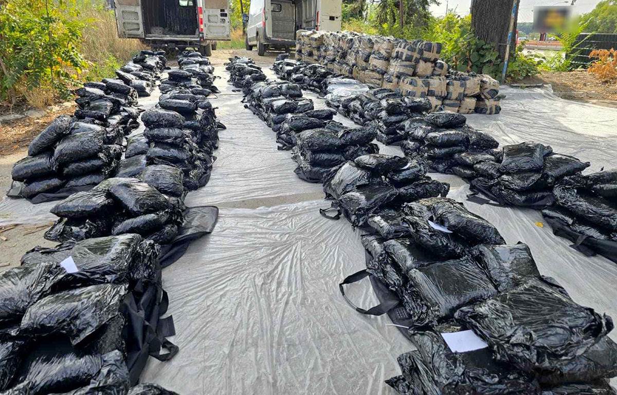 Zaplena marihuane (2).jpg