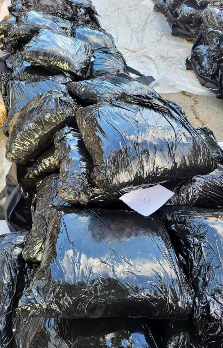 Zaplena marihuane (4).jpg