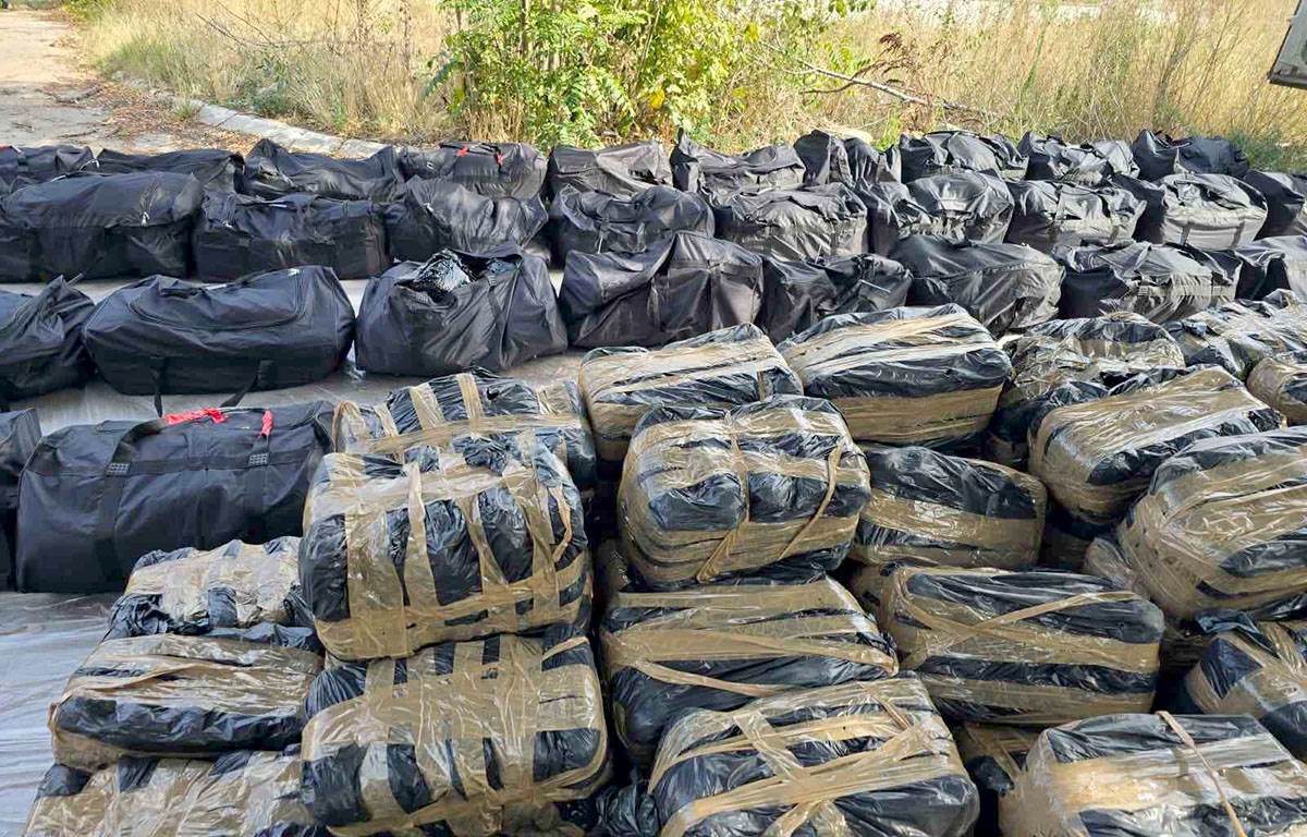 Zaplena marihuane (5).jpg