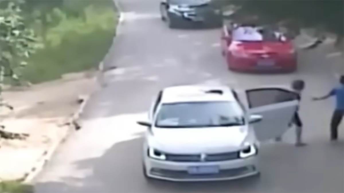 Tigar zgrabio ženu u safari parku (6).jpg